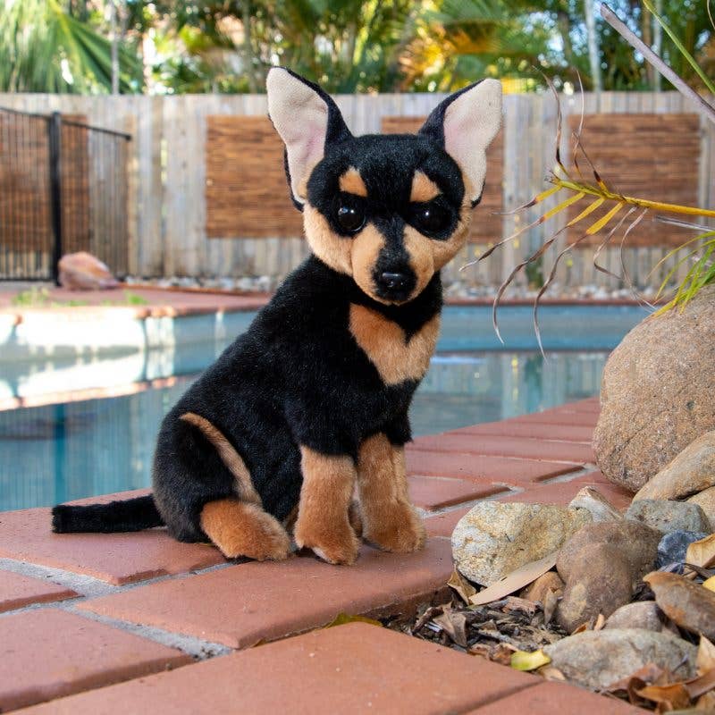 Taco - Chihuahua Size 25cm/9.8"
