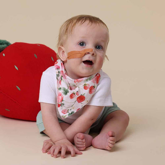 Strawberry Organic Dribble Bib