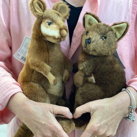 Miles - Wallaby Red Necked, Bennett's, Swamp 33cm/13"