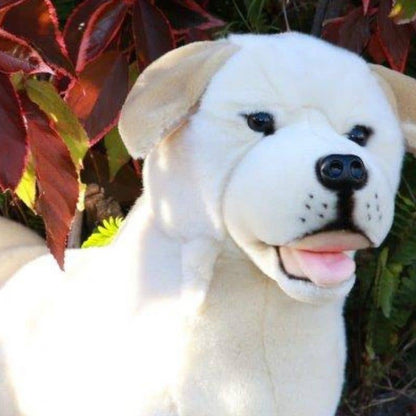 Beau - Cream Labrador Size 64cm/25.2"