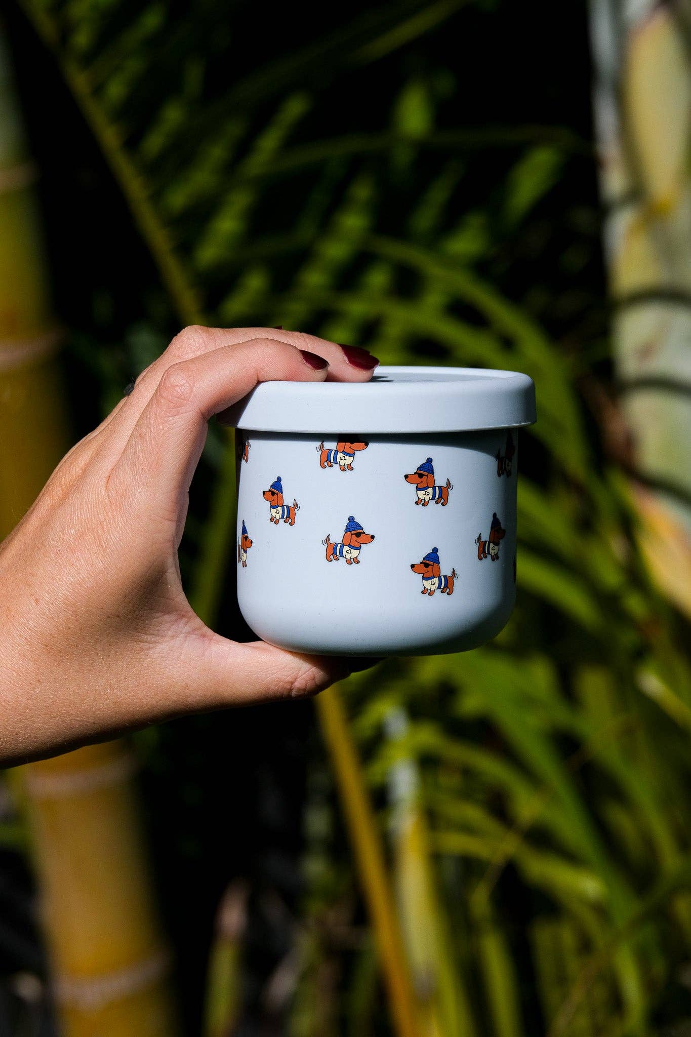 Dagwood SNACK POT  (250ml)