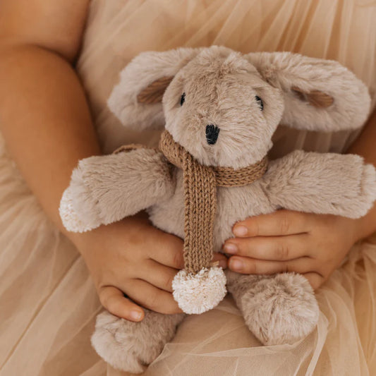 Hugh Rabbit Mini Bunny