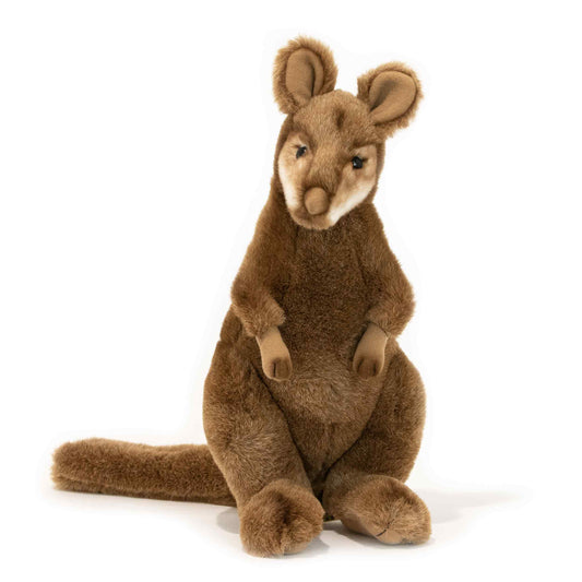 Miles - Wallaby Red Necked, Bennett's, Swamp 33cm/13"