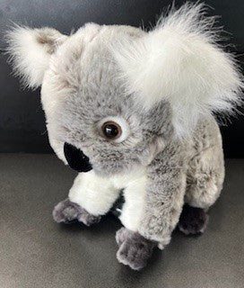 Betsy the Koala